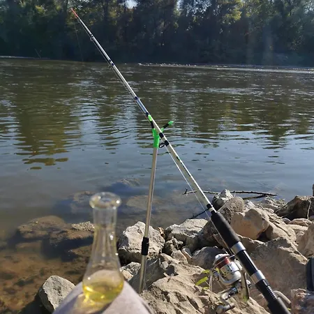 Odmaraliste Kod Mice 3